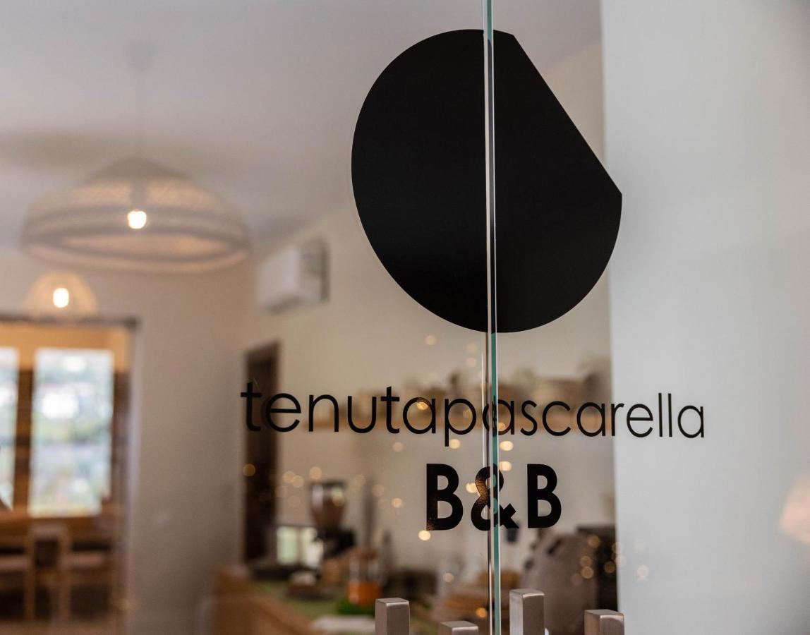 Tenuta Pascarella Bed & Breakfast Frasso Telesino Eksteriør billede